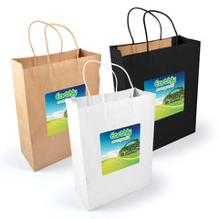 HWB219 - Express Paper Bag Large