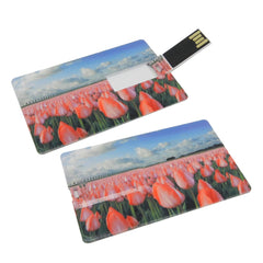 Superslim Credit Card USB By Happyway Promotions