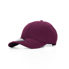 Alpine 6 Panel Brushed Twill Cap by Happyway Promotions