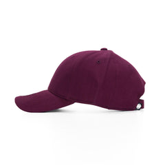 Alpine 6 Panel Brushed Twill Cap by Happyway Promotions