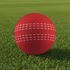 High Bounce Cricket Ball by Happyway Promotions
