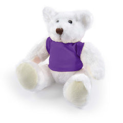 HWP105 - Frosty Plush Teddy Bear