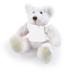 HWP105 - Frosty Plush Teddy Bear