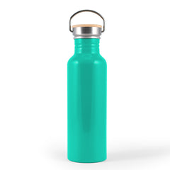 HWD283 - Chat Recycled Aluminium Drink Bottle