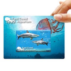 Credit card Flash Drive by HappyWay Promotions