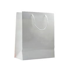HWB14 - GIFT PAPER BAG (MEDIUM)