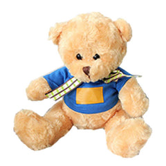 HWP36 - 16CM TEDDY BEAR PLUSH TOY WITH T-SHIRT AND CHECKERED RIBBON