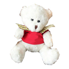 HWP36 - 16CM TEDDY BEAR PLUSH TOY WITH T-SHIRT AND CHECKERED RIBBON